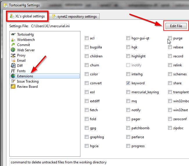 Editing configuration file in TortoiseHg global settings
